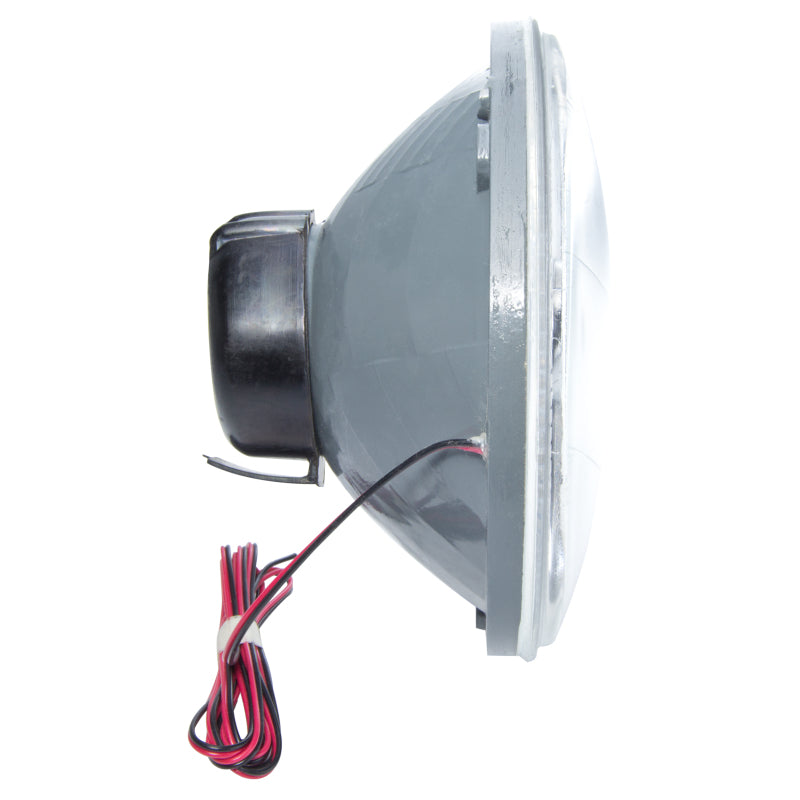 ORACLE Lighting Oracle Pre-Installed Lights 5.75 IN. Sealed Beam - UV/Purple Halo