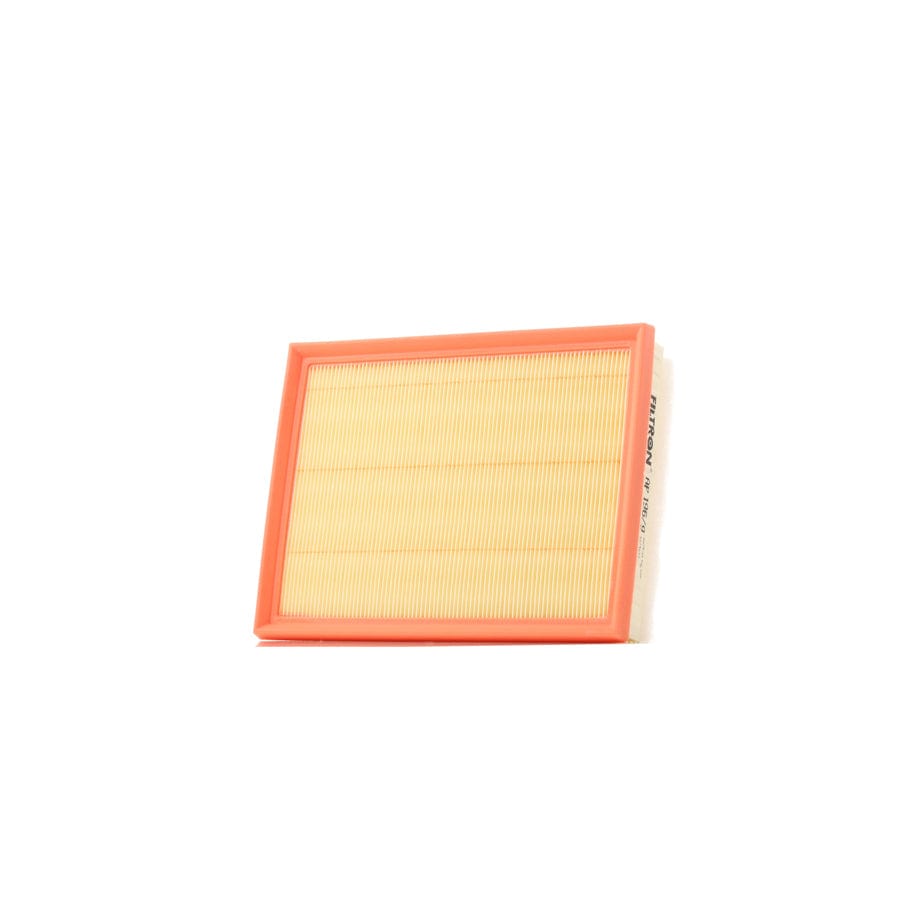 Filtron Ap 196/9 Air Filter