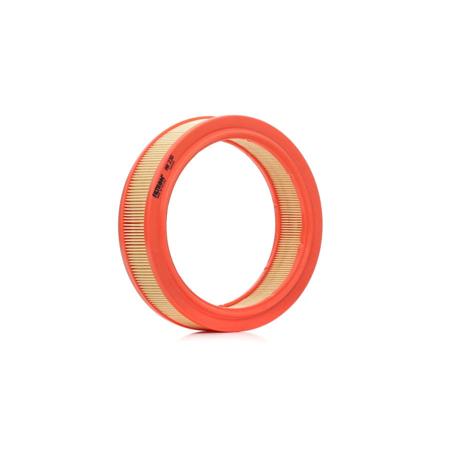 Filtron Ar 230 Air Filter