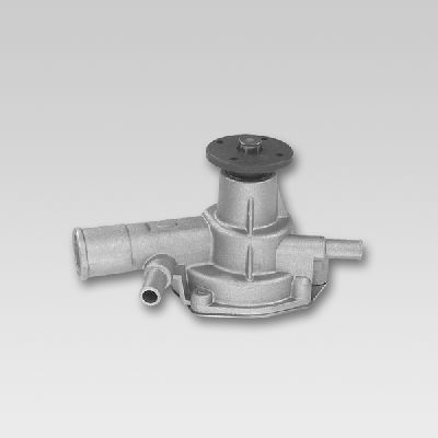 HEPU P727 Water Pump