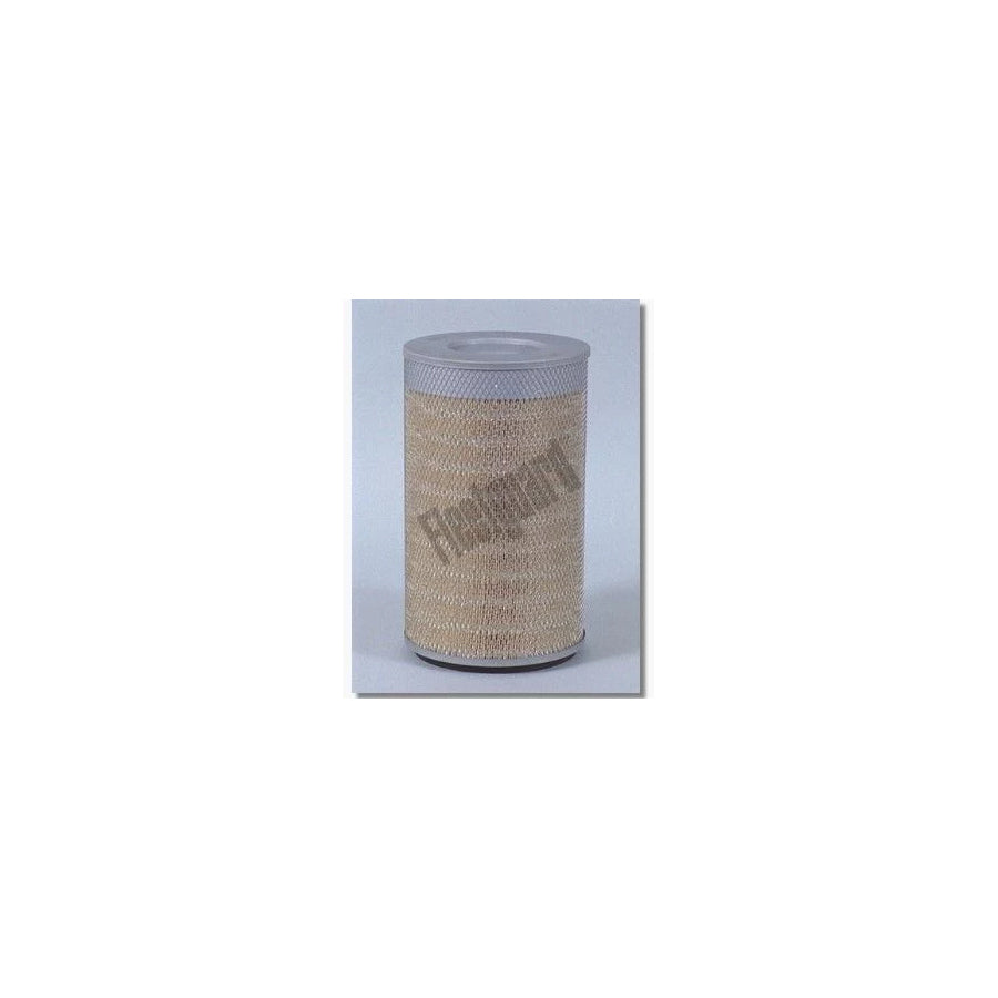 Fleetguard Af25055 Air Filter