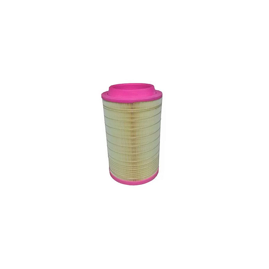 Fleetguard Af25161 Air Filter