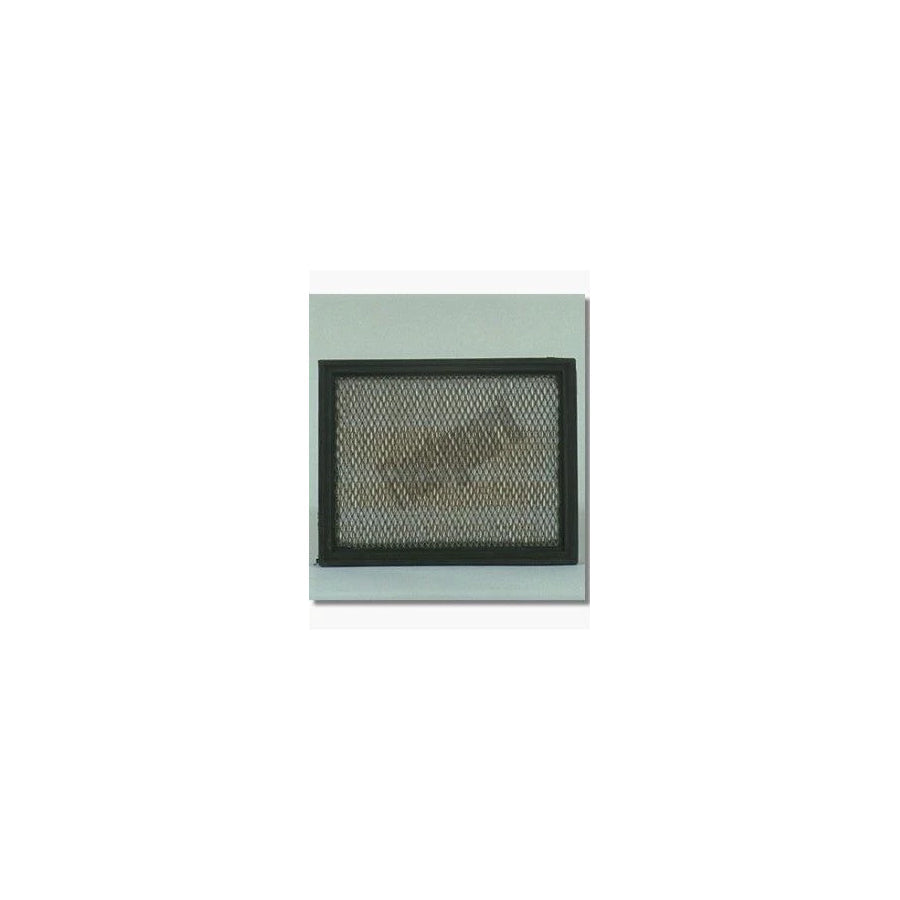Fleetguard Af25227 Air Filter