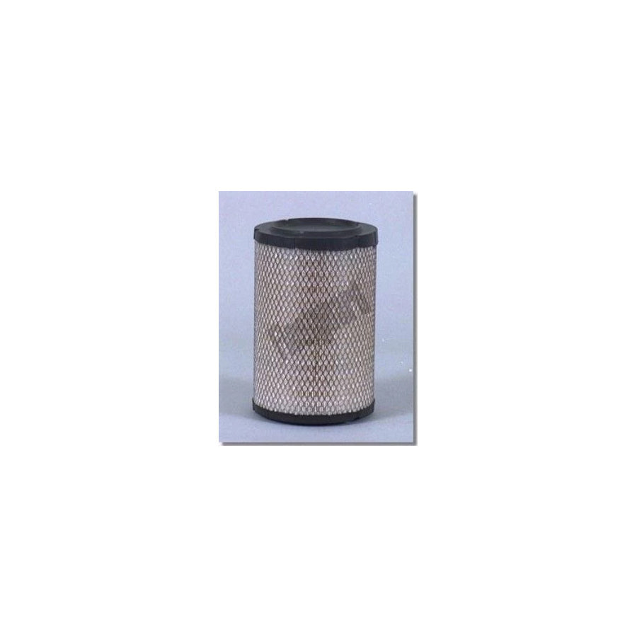 Fleetguard Af25259 Air Filter