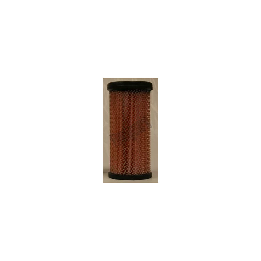 Fleetguard Af25561 Air Filter