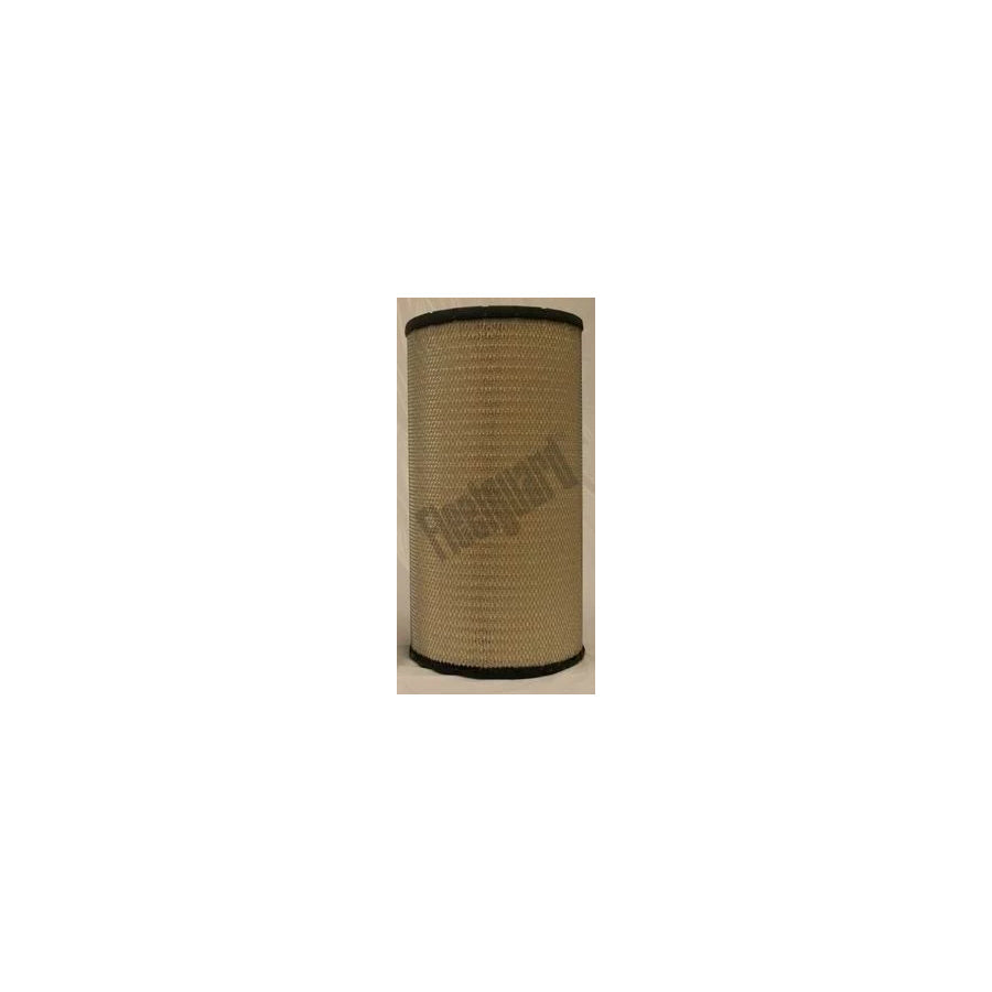 Fleetguard Af25619 Air Filter