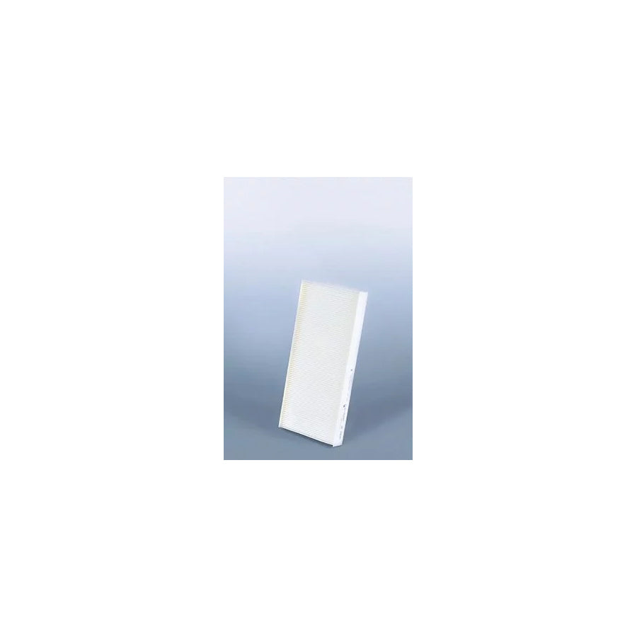 Fleetguard Af25630 Pollen Filter