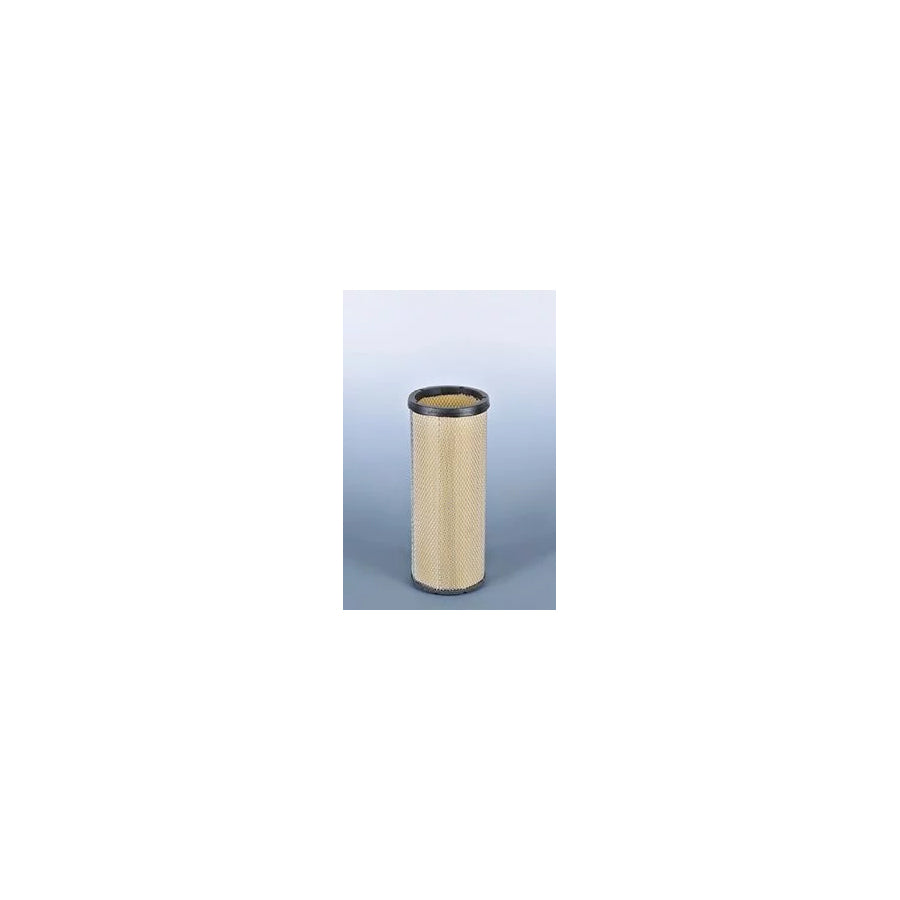 Fleetguard Af25634 Air Filter