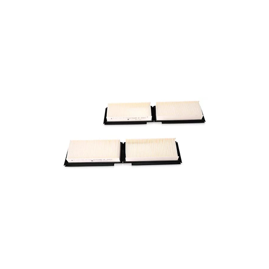 Fleetguard Af25972 Pollen Filter