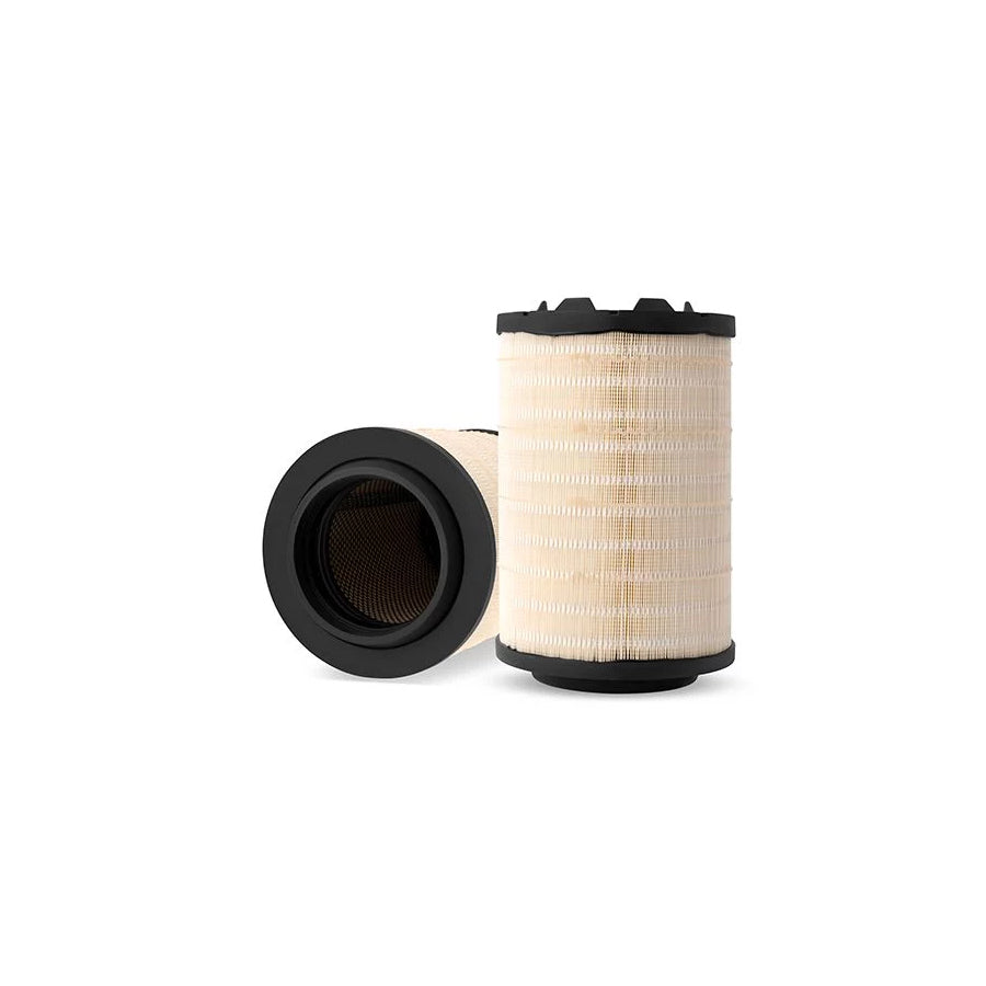 Fleetguard Af25976 Air Filter