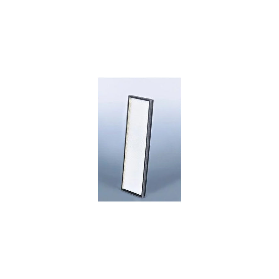 Fleetguard Af26144 Pollen Filter
