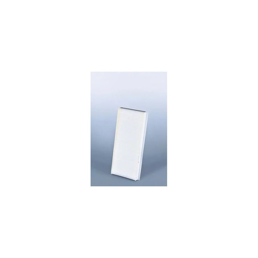 Fleetguard Af26174 Pollen Filter