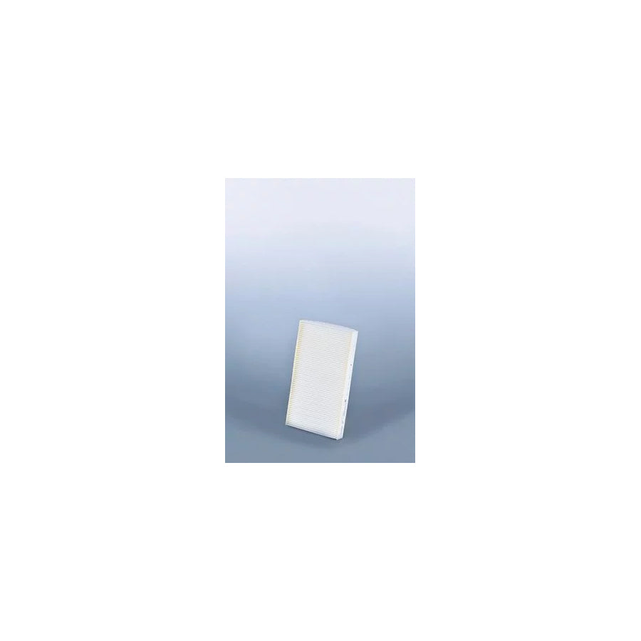 Fleetguard Af26213 Pollen Filter