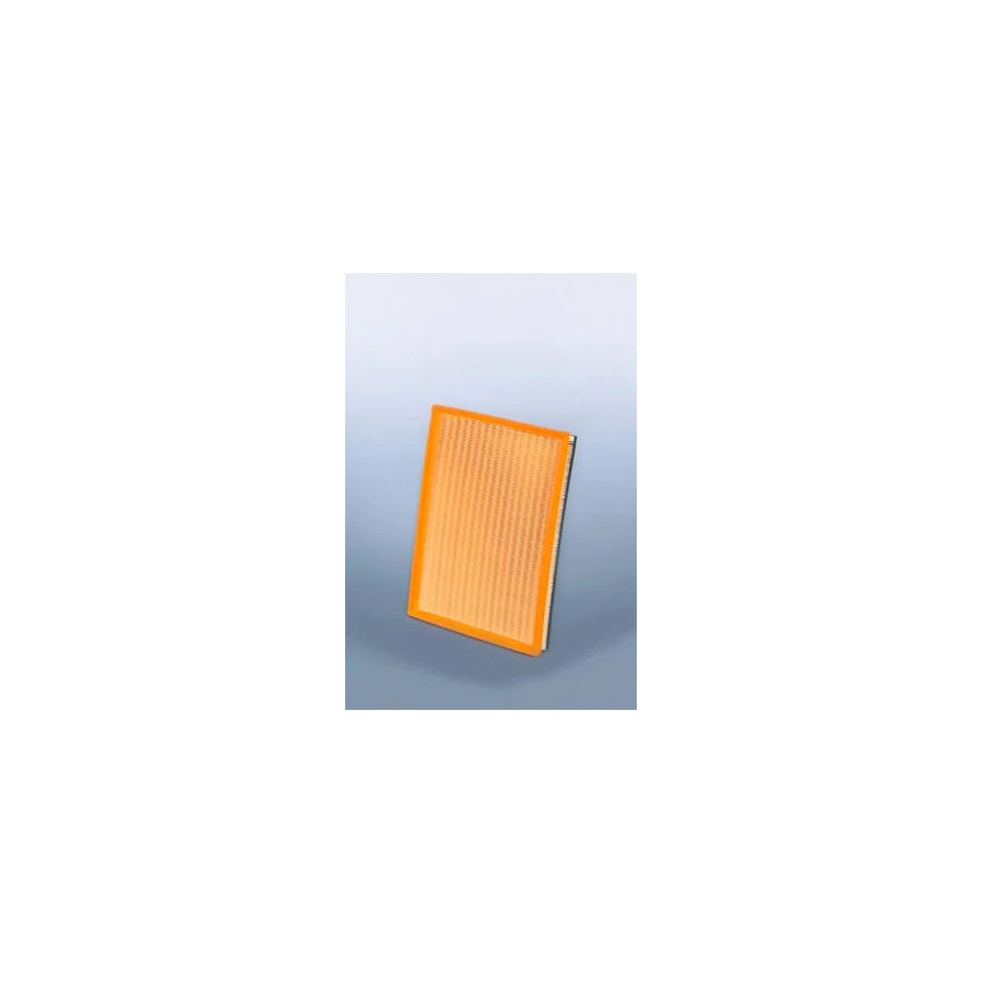 Fleetguard Af27833 Air Filter