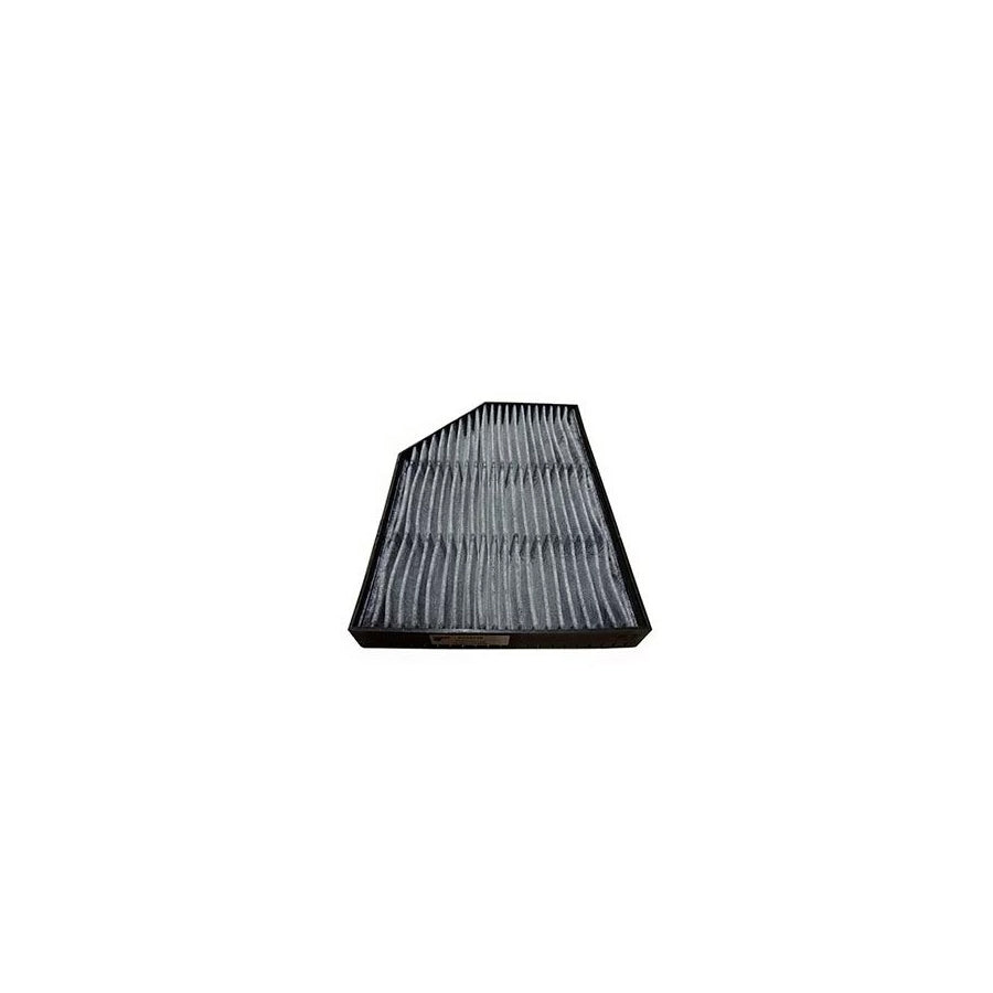 Fleetguard Af55759 Pollen Filter