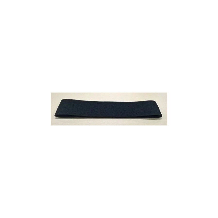 Fleetguard Af55840 Pollen Filter