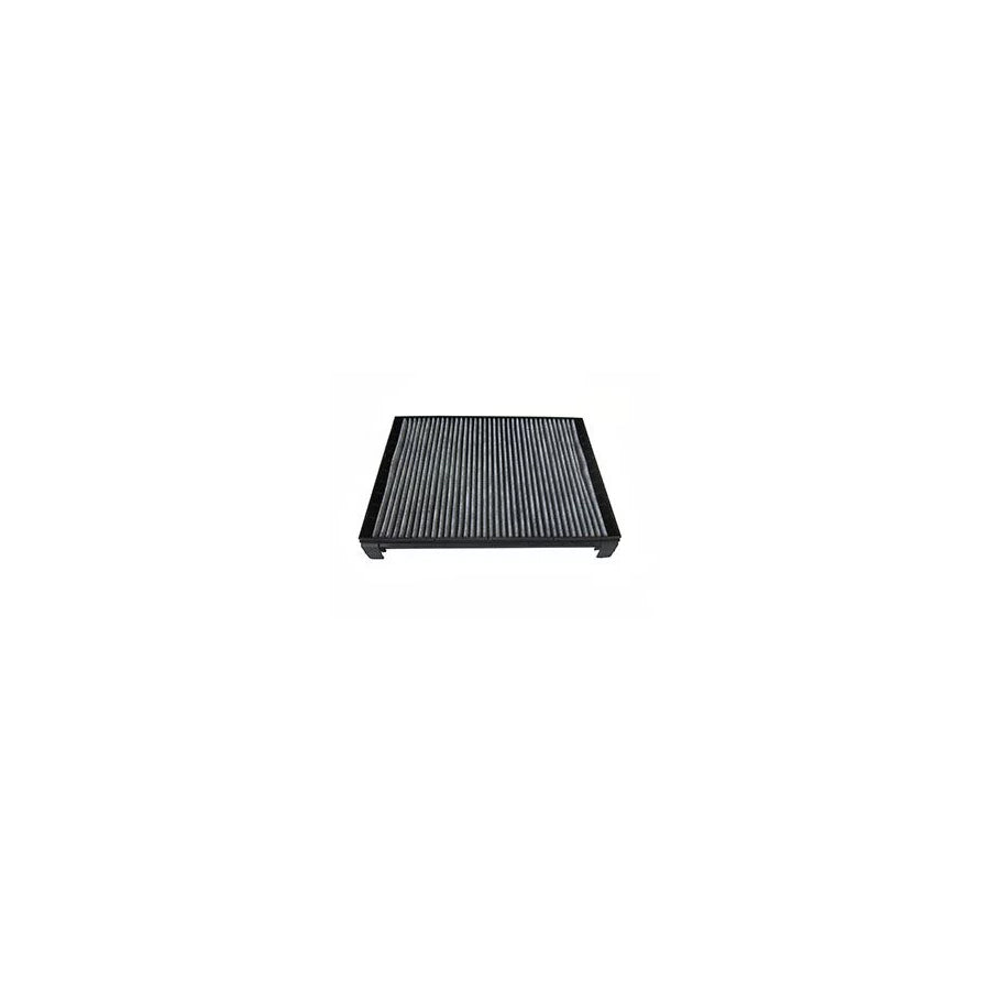 Fleetguard Af55841 Pollen Filter