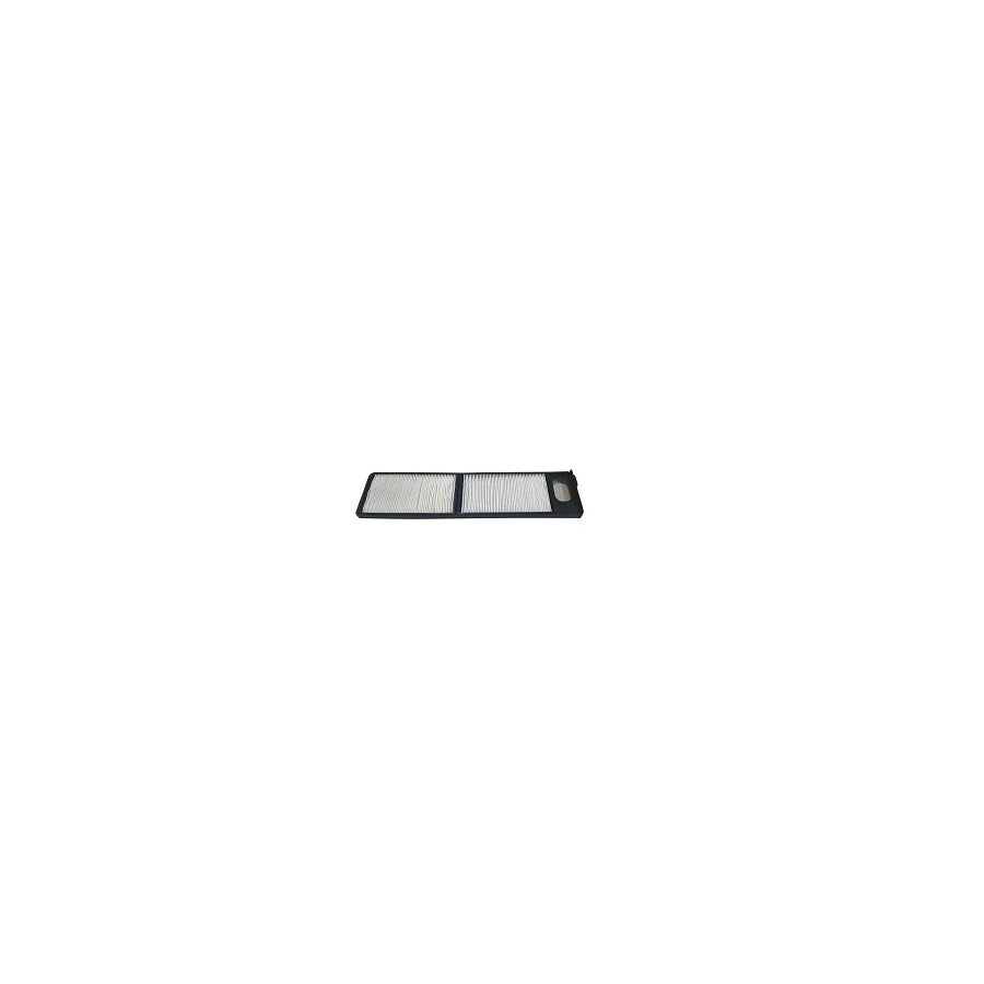 Fleetguard Af56014 Pollen Filter