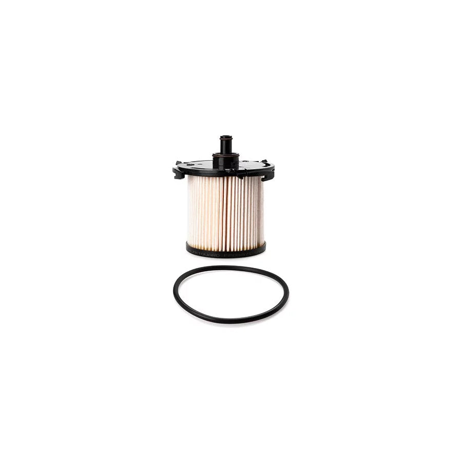 Fleetguard Ff5871 Fuel Filter