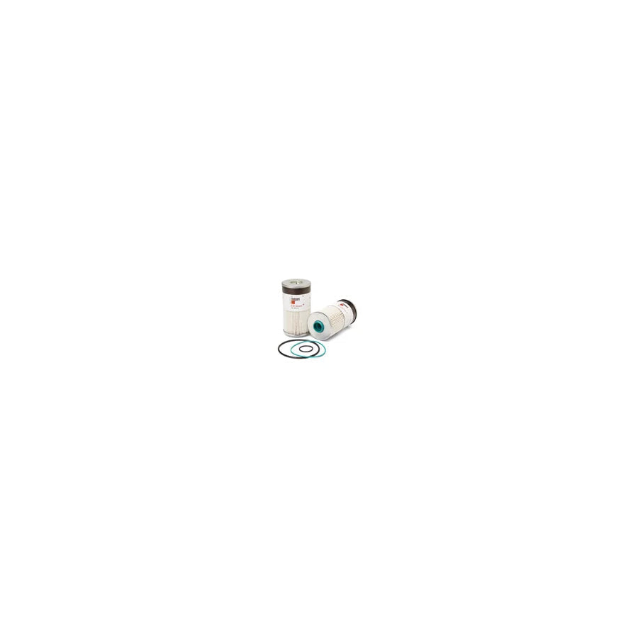 Fleetguard Fs19727G Fuel Filter