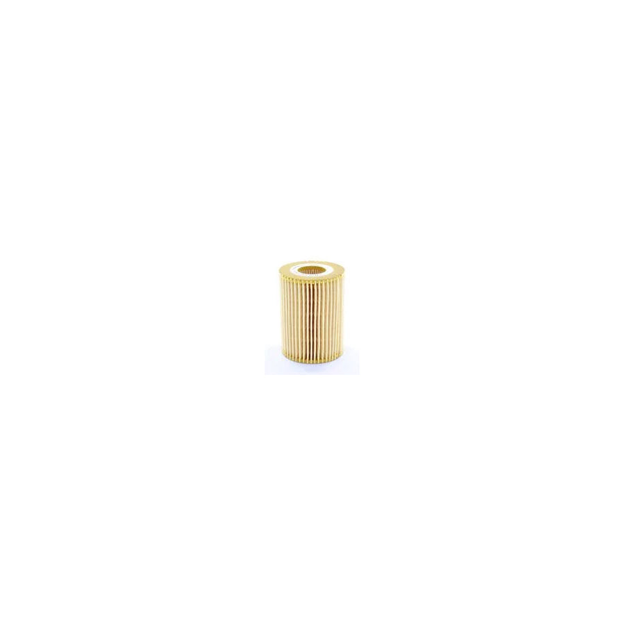 Fleetguard Lf16231 Oil Filter