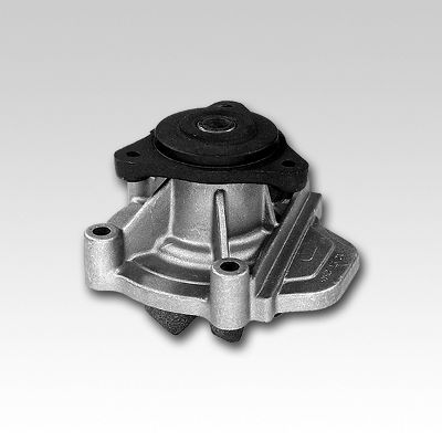 HEPU P781 Water Pump