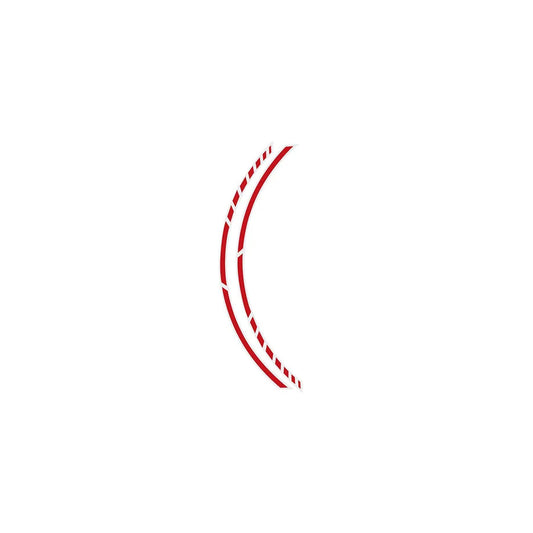 Foliatec 34440 Wheel Sticker