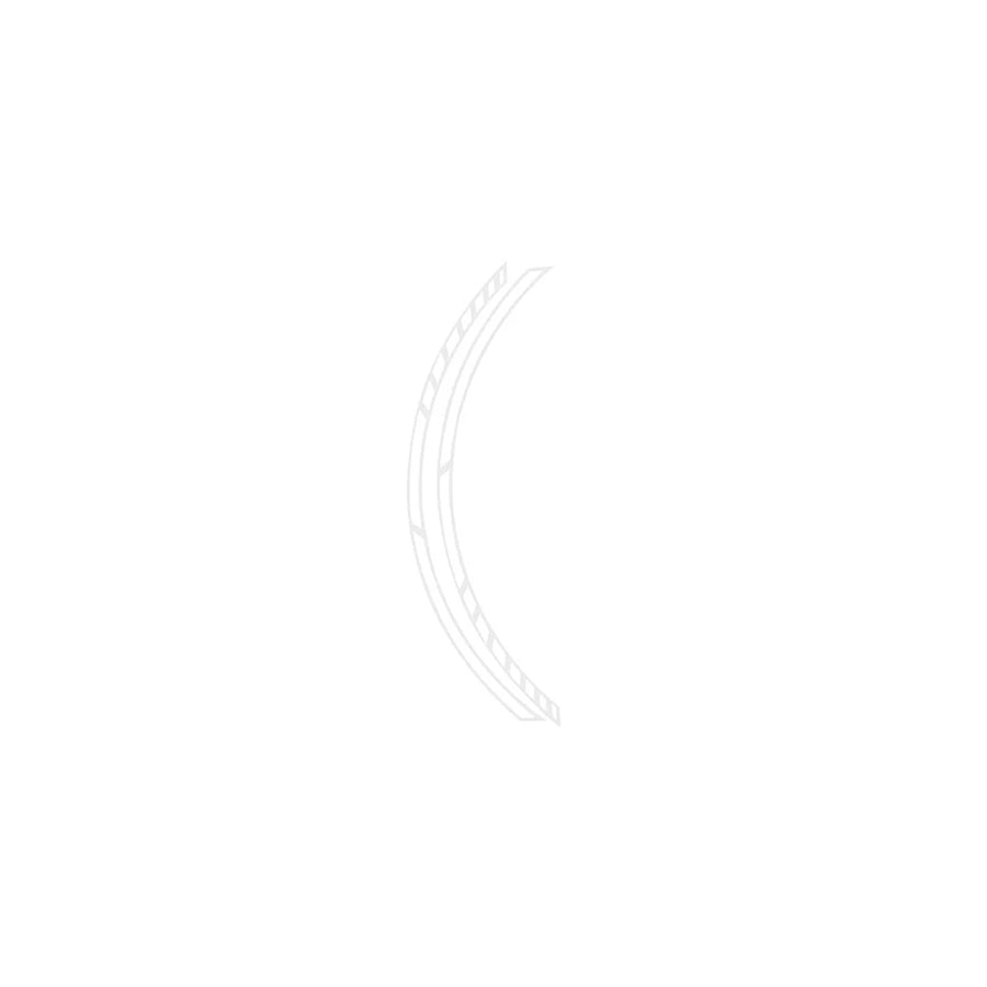 Foliatec 34442 Wheel Sticker