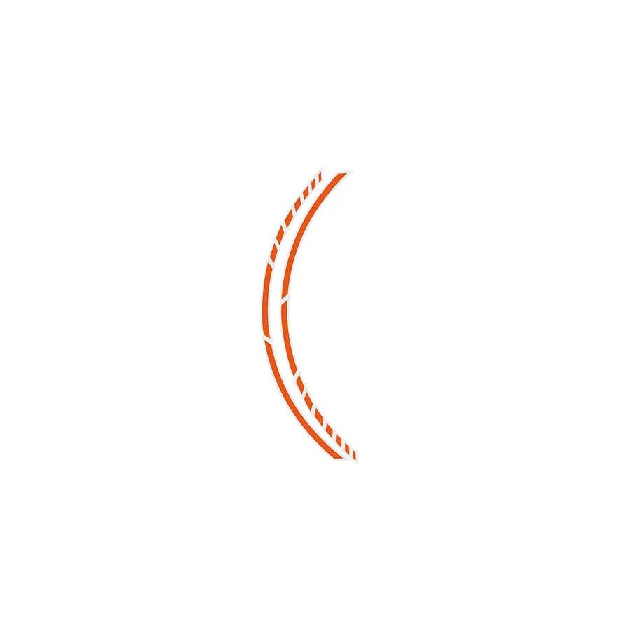 Foliatec 34445 Wheel Sticker