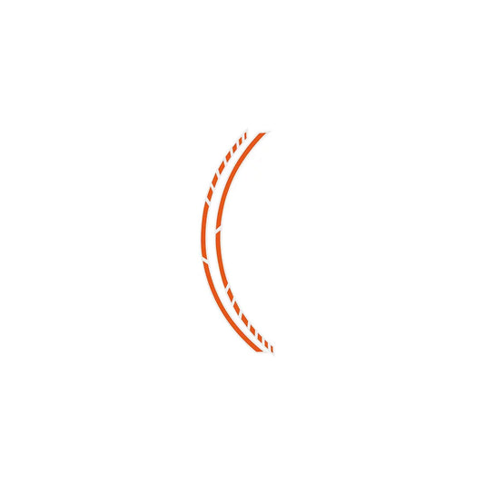 Foliatec 34445 Wheel Sticker