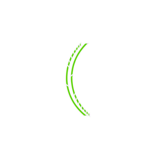 Foliatec 34448 Wheel Sticker
