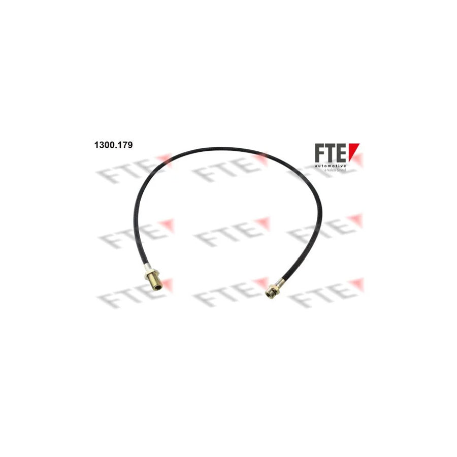 FTE 1300.179 Brake Hose