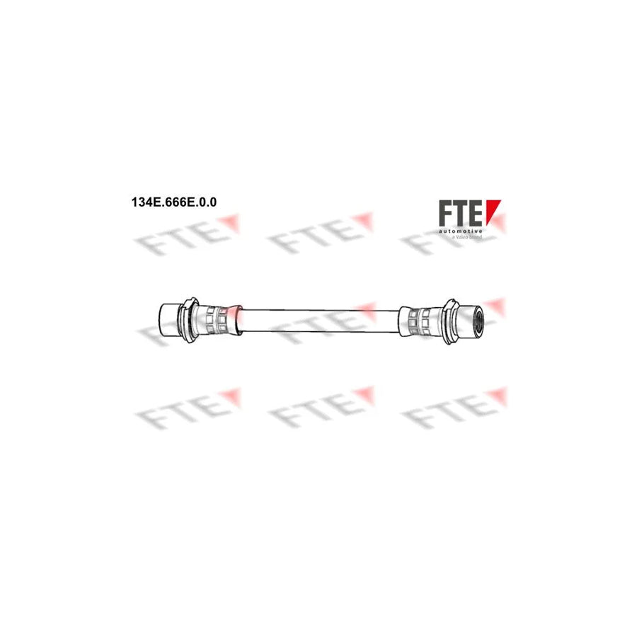 FTE 134E.666E.0.0 Brake Hose for Toyota Corolla X Saloon (E150)