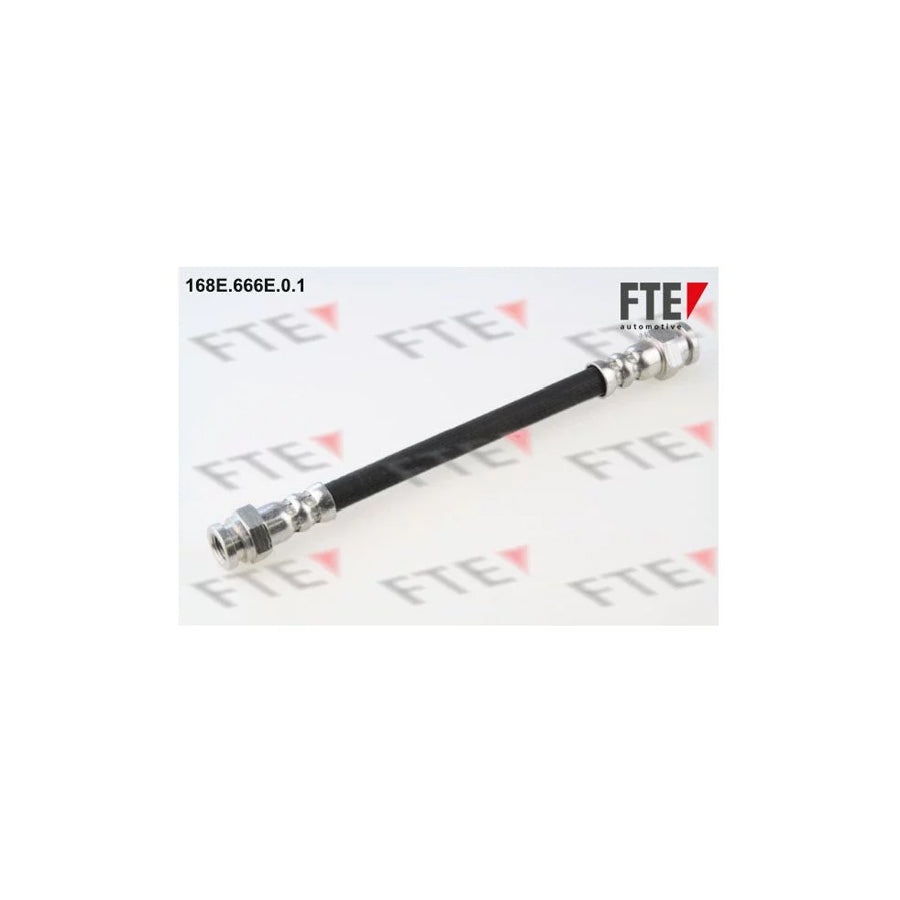 FTE 168E.666E.0.1 Brake Hose