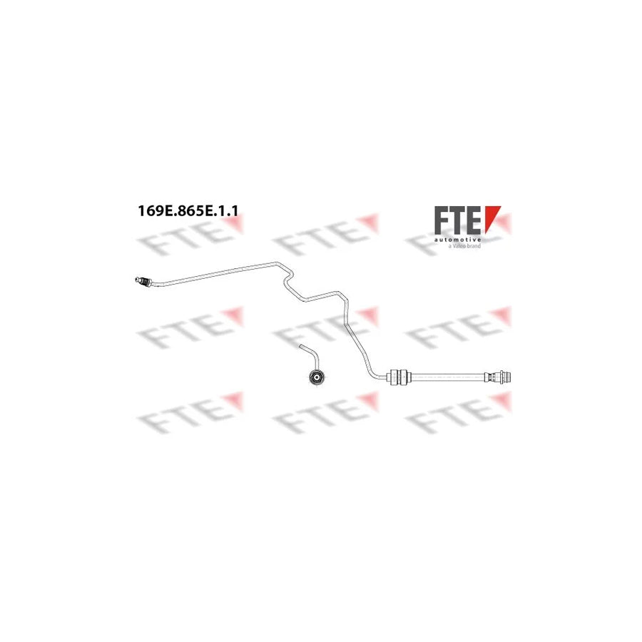 FTE 169E.865E.1.1 Brake Hose