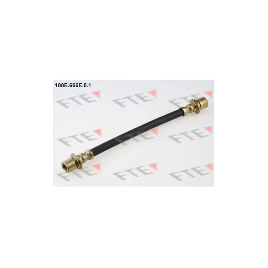FTE 188E.666E.0.1 Brake Hose