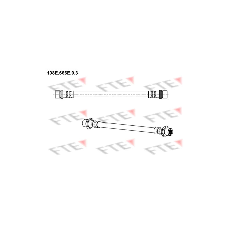 FTE 198E.666E.0.3 Brake Hose