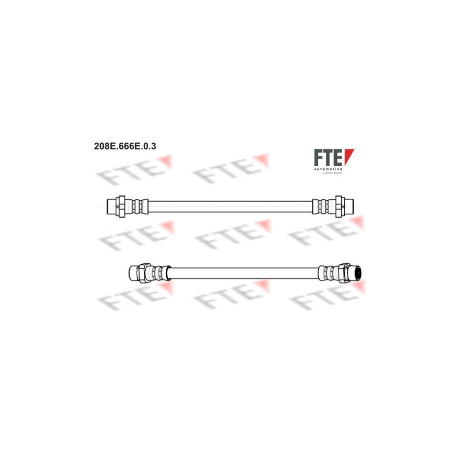 FTE 208E.666E.0.3 Brake Hose