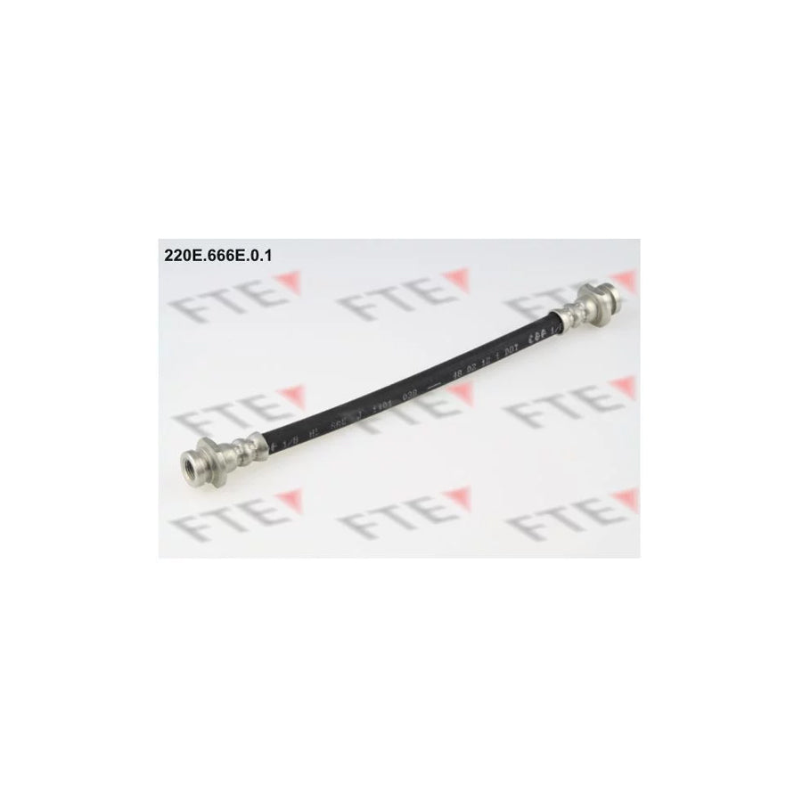 FTE 220E.666E.0.1 Brake Hose