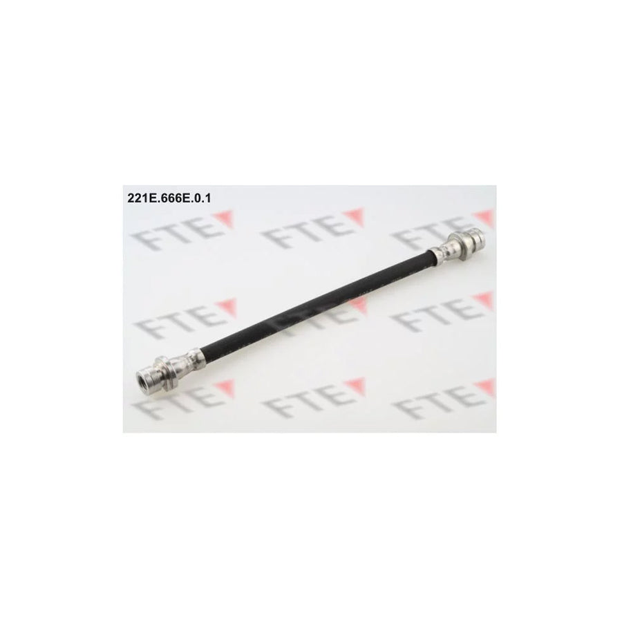 FTE 221E.666E.0.1 Brake Hose