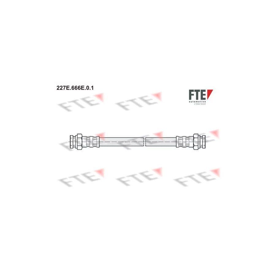 FTE 227E.666E.0.1 Brake Hose
