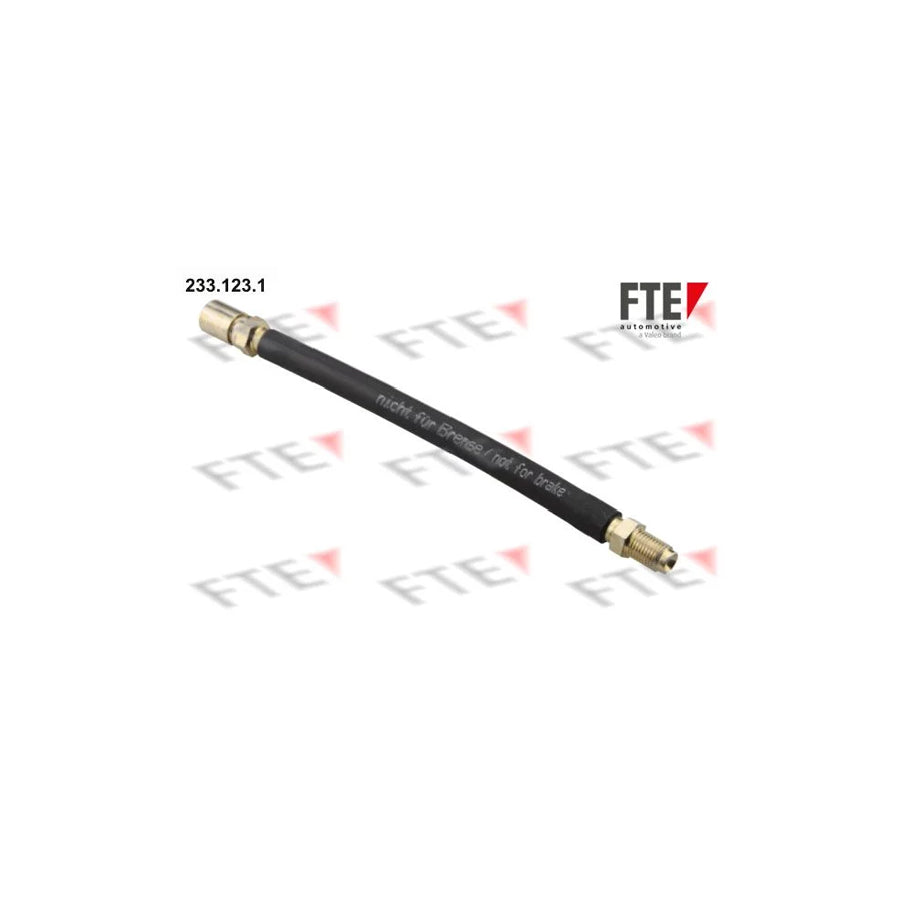 FTE 233.123.1 Clutch Hose