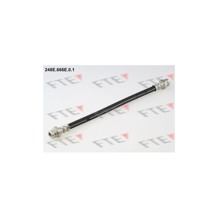 FTE 248E.666E.0.1 Brake Hose