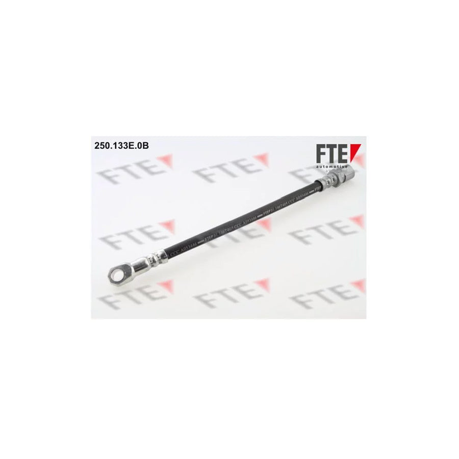 FTE 250.133E.0B Brake Hose