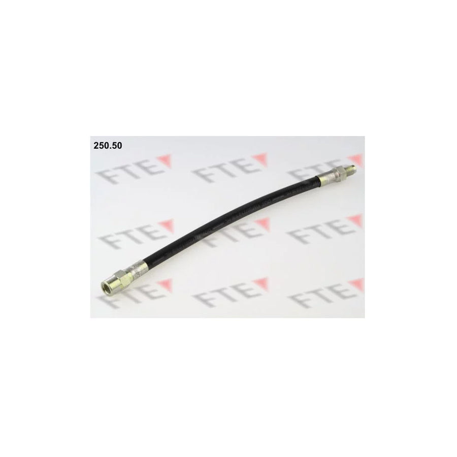 FTE 250.50 Brake Hose