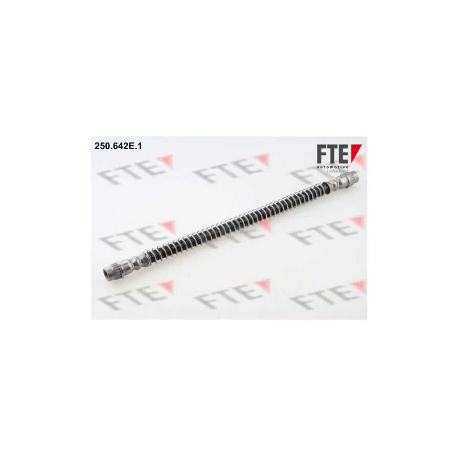 FTE 250.642E.1 Brake Hose