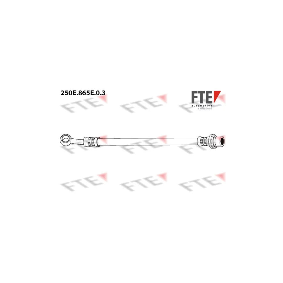 FTE 250E.865E.0.3 Brake Hose