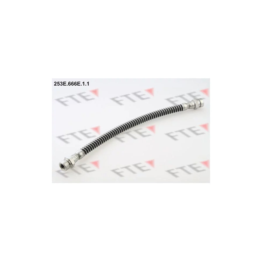 FTE 253E.666E.1.1 Brake Hose for Hyundai Sonata
