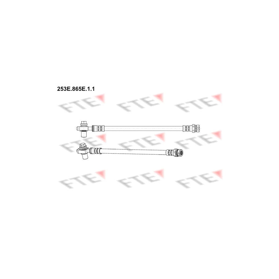 FTE 253E.865E.1.1 Brake Hose