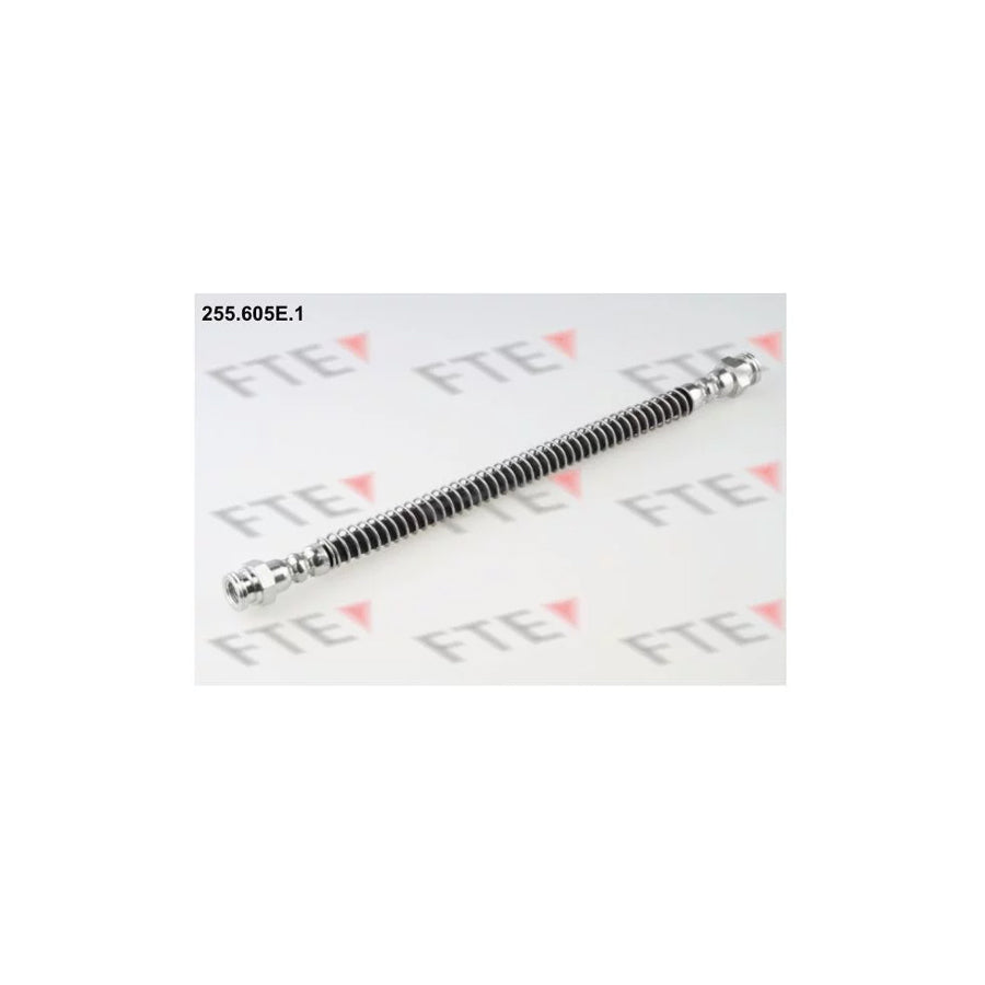 FTE 255.605E.1 Brake Hose